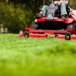 The Secret to a Perfect Lawn in Hamel, Minnesota