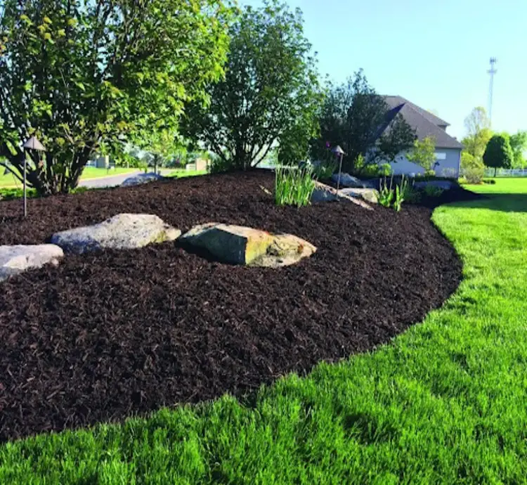 mulch 750x690